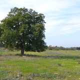 ...si trova all�interno di �Masseria Morrone�